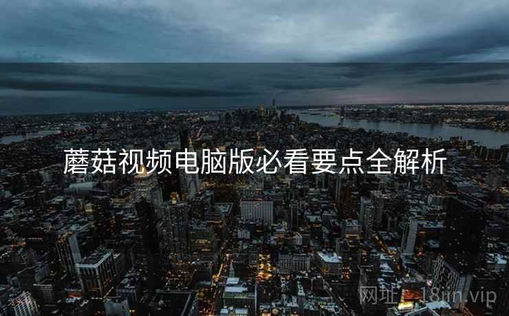 蘑菇视频电脑版必看要点全解析