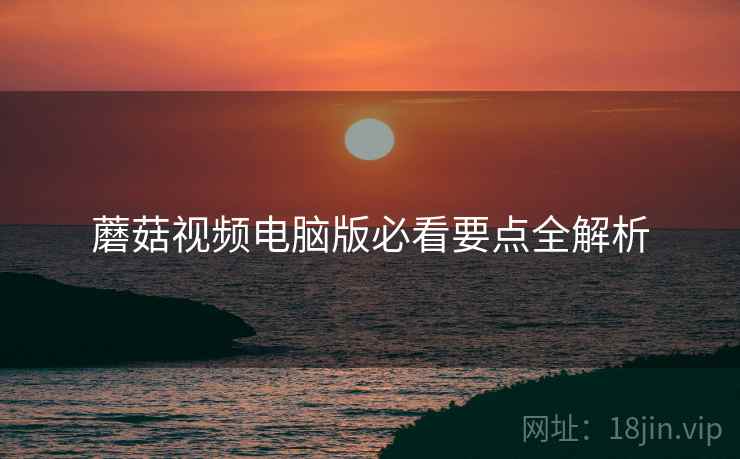 蘑菇视频电脑版必看要点全解析