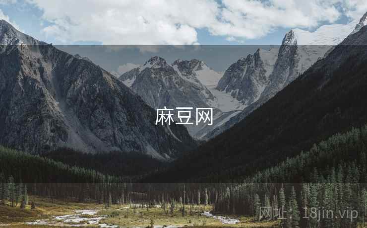 麻豆网