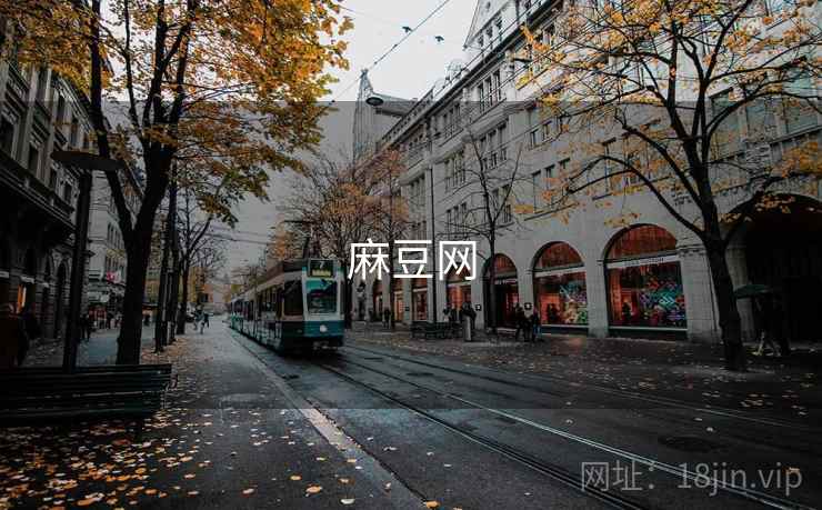 麻豆网
