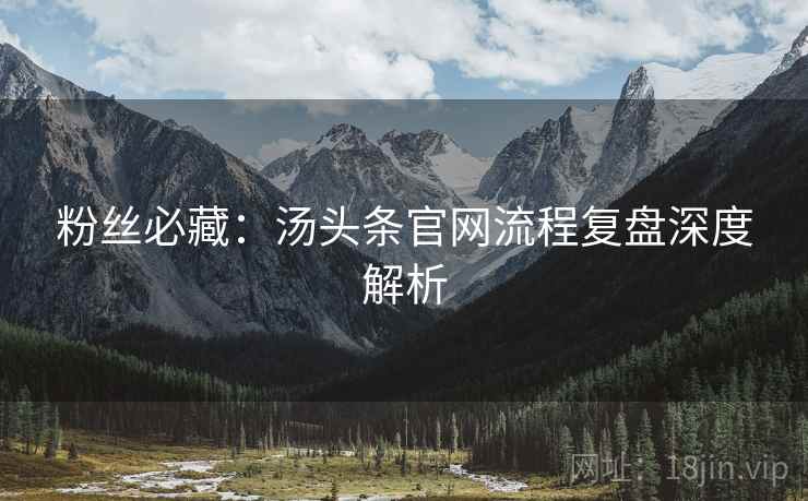 粉丝必藏：汤头条官网流程复盘深度解析