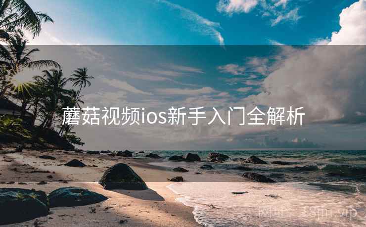蘑菇视频ios新手入门全解析