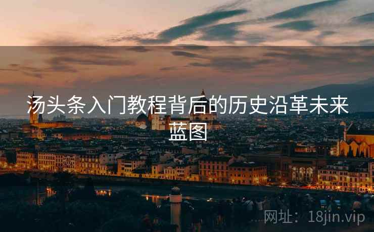 汤头条入门教程背后的历史沿革未来蓝图