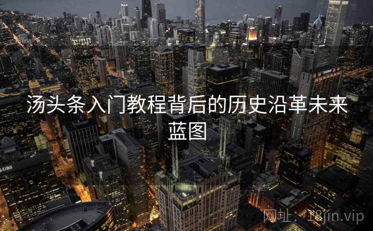 汤头条入门教程背后的历史沿革未来蓝图